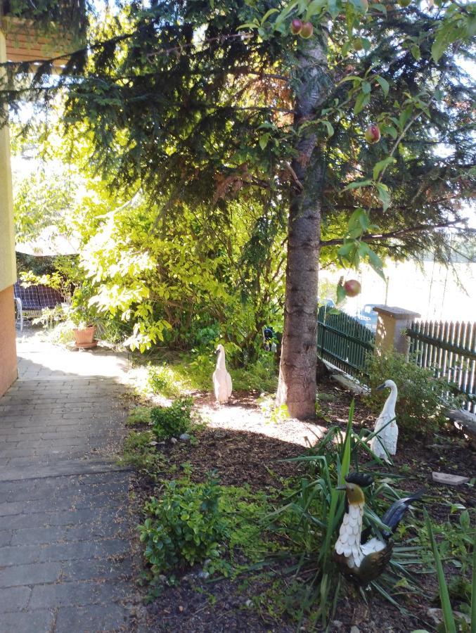 B&B Family Basement Apartment, Breakfast, Free Parking, 5Km From Tulln Chorherrn Zewnętrze zdjęcie